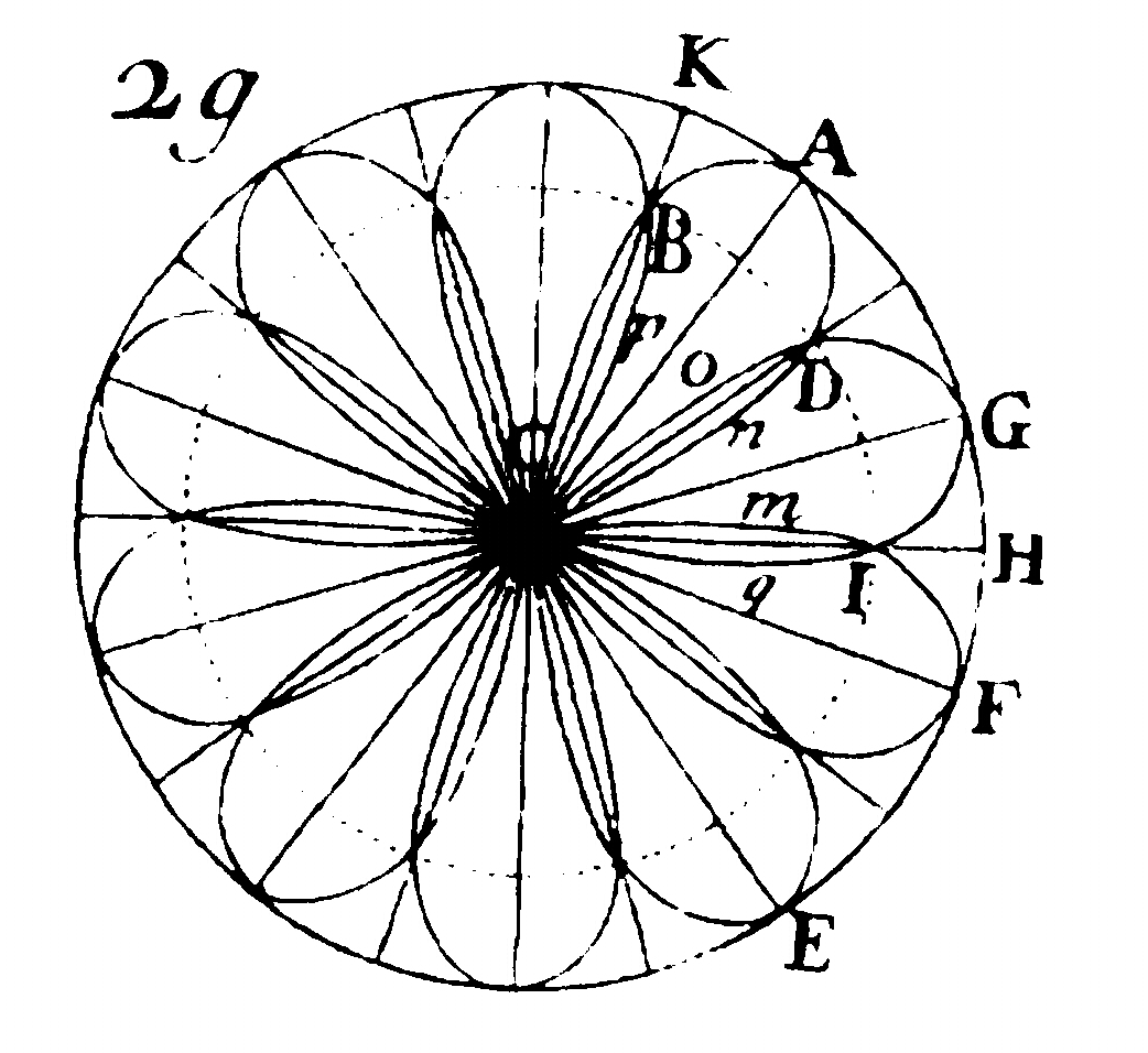 Makanin-Razborov SOLVER